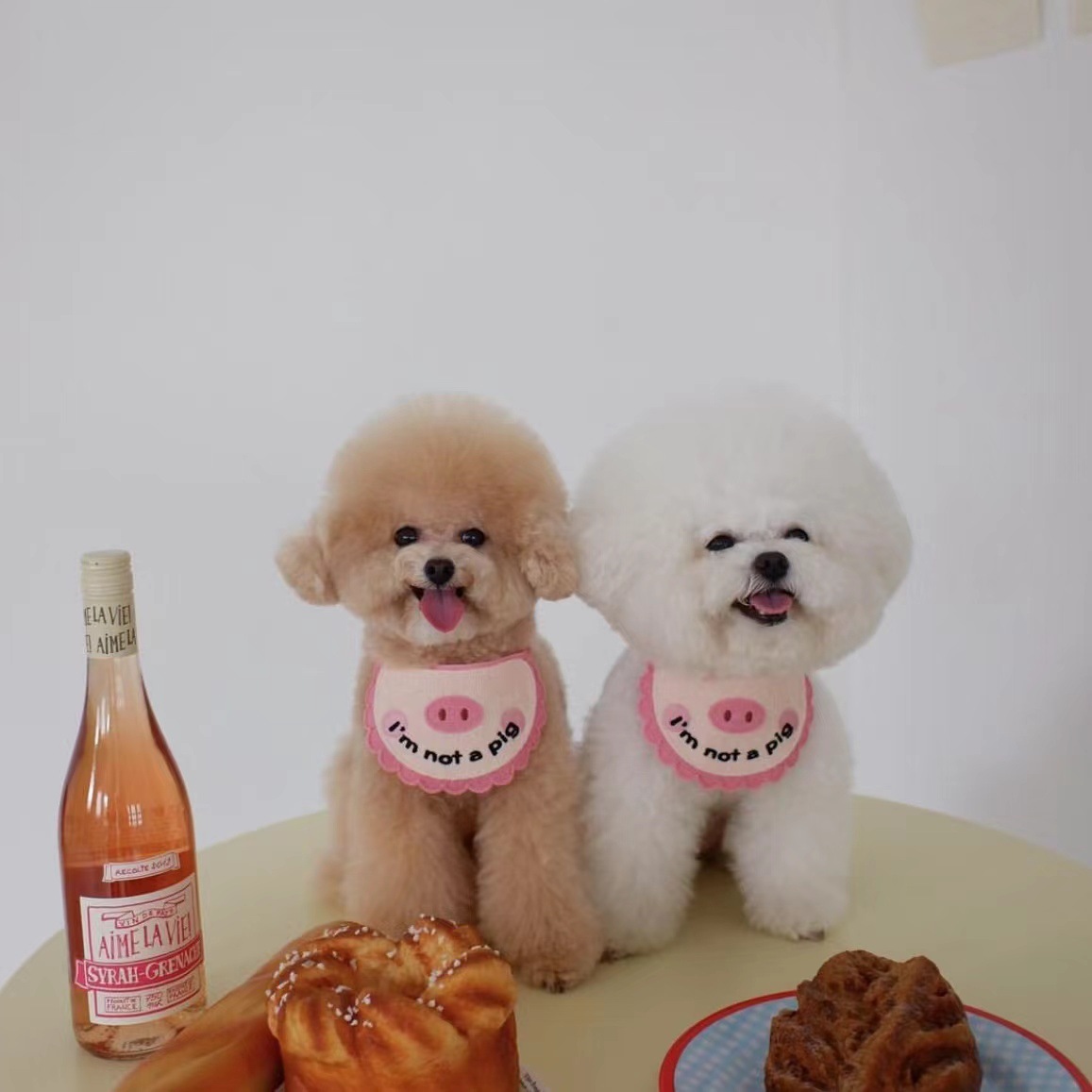 韩国ins新款可爱猪猪围兜中型猫咪狗狗宠物口水巾兜比熊泰迪道具