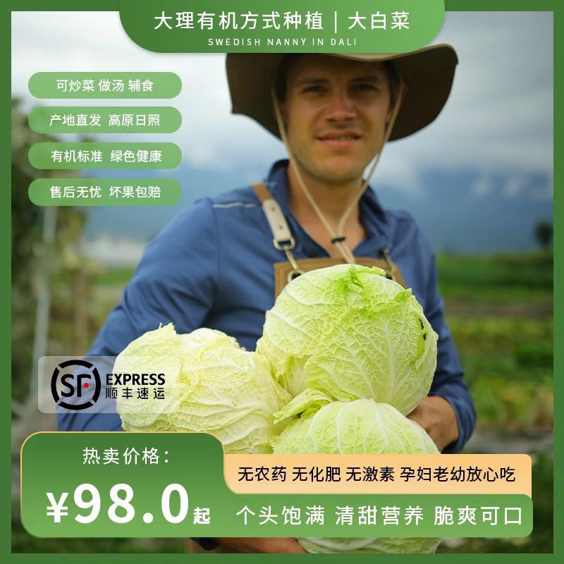 云南高原有机方式种植大白菜娃娃菜现摘宝宝辅食孕妇新鲜蔬菜顺丰