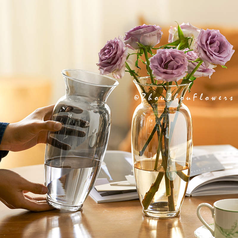 高级感小众网红玻璃花瓶摆件插花透明水养玫瑰专用水培鲜花
