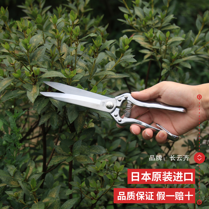 日本进口不锈钢长嘴修枝剪刀 园艺剪花卉剪 月季剪 云片剪 叶芽剪