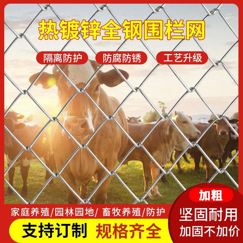 户外勾热镀锌铁丝网果园花网网猪围栏钢丝网羊养殖防护隔离新款牛