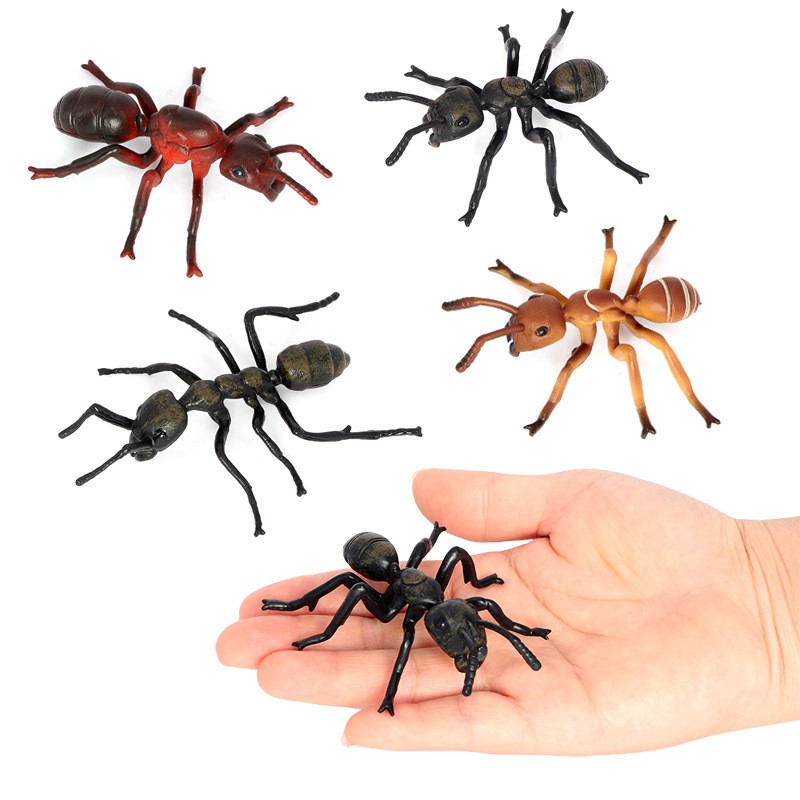 仿真蚂蚁模型实心塑胶昆虫动物玩具黑蚂蚁红蚁儿童男女孩认知摆件
