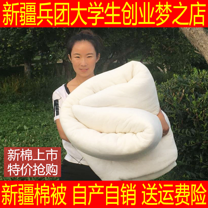 8斤新疆棉花冬被全棉长绒棉花被子被芯棉絮垫被被褥加厚八斤