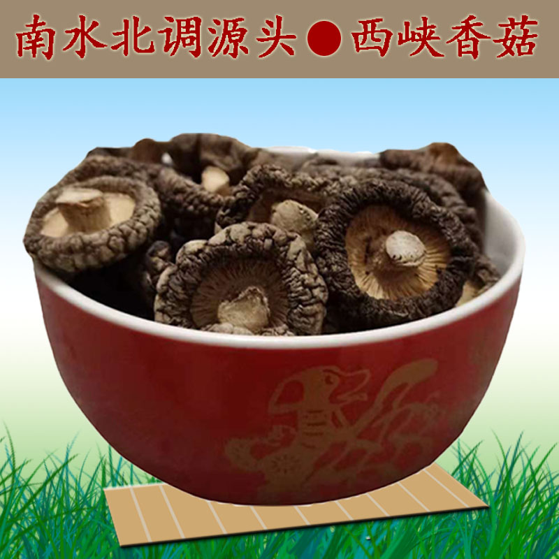 西峡香菇干货冬菇金钱菇伏牛山特产野生菌菇农家自产500g克包邮