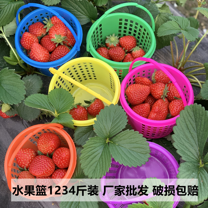 塑料小圆篮子杨梅篮草莓篮桑葚篮水果篮手提1234斤装樱桃篮蓝莓篮