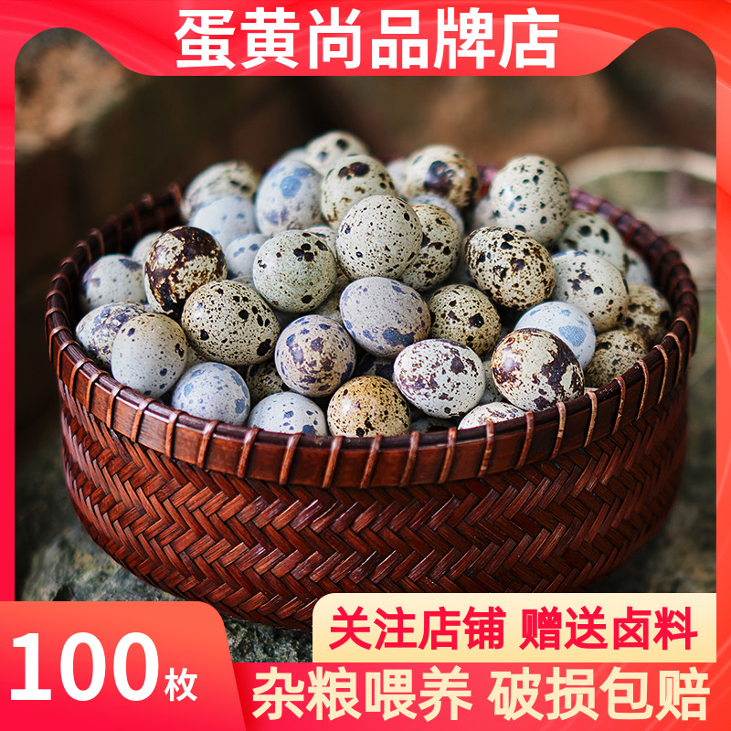 农家杂粮新鲜鹌鹑蛋100枚鹌鹑蛋生蛋鹑鸟蛋宝宝辅食生鹌鹑蛋一箱