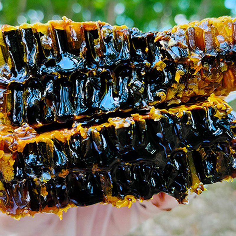 米团花云南黑蜂蜜纯正天然500g土蜂蜜百花蜜孕妇儿童农家自产