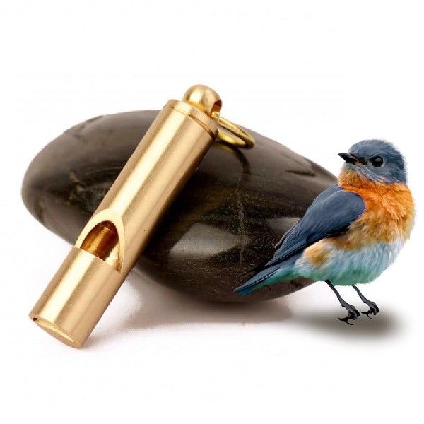 推荐Brass Parrot Bird Training Whistle Pigeon Training Whist
