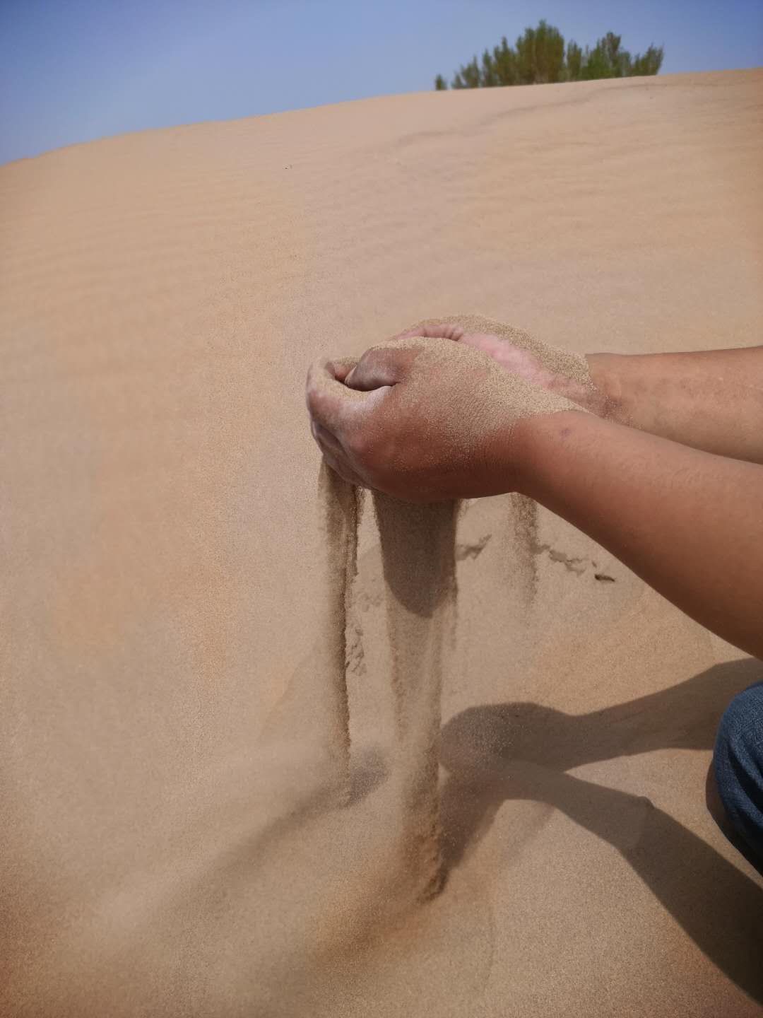 2000斤天然沙漠沙黄沙腾格里沙漠沙子宝宝玩具沙儿童沙池摄影造景