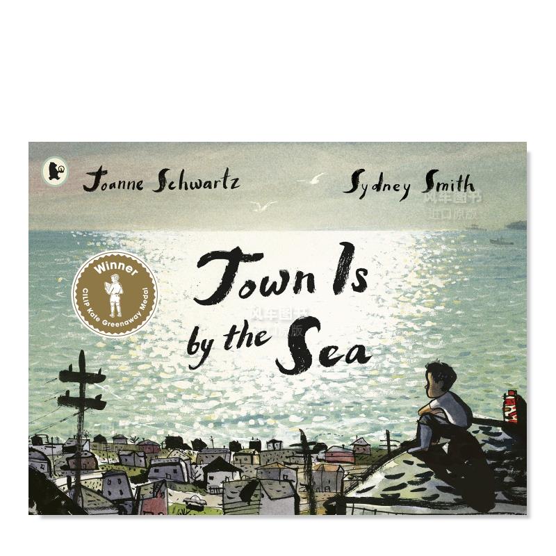 【现货】【2018凯特·格林纳威奖】滨海小镇 Town Is by the Sea英文儿童本插画师 进口原版Joanne Schwartz & Sydney Smith Sydne