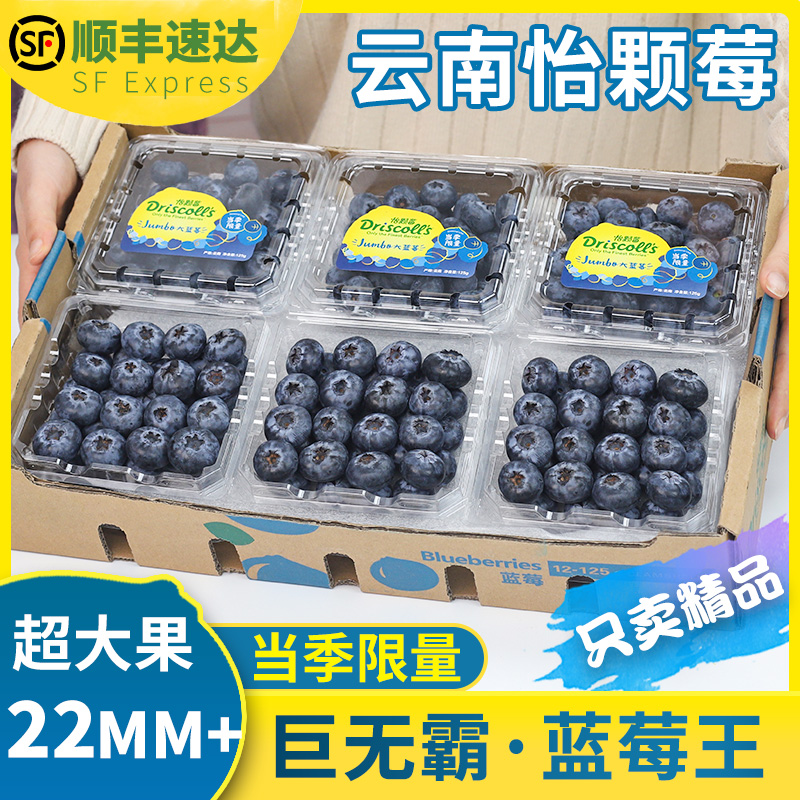 12盒礼盒装顺丰云南怡颗莓蓝莓鲜果当季孕妇水果新鲜甜蓝美莓整箱