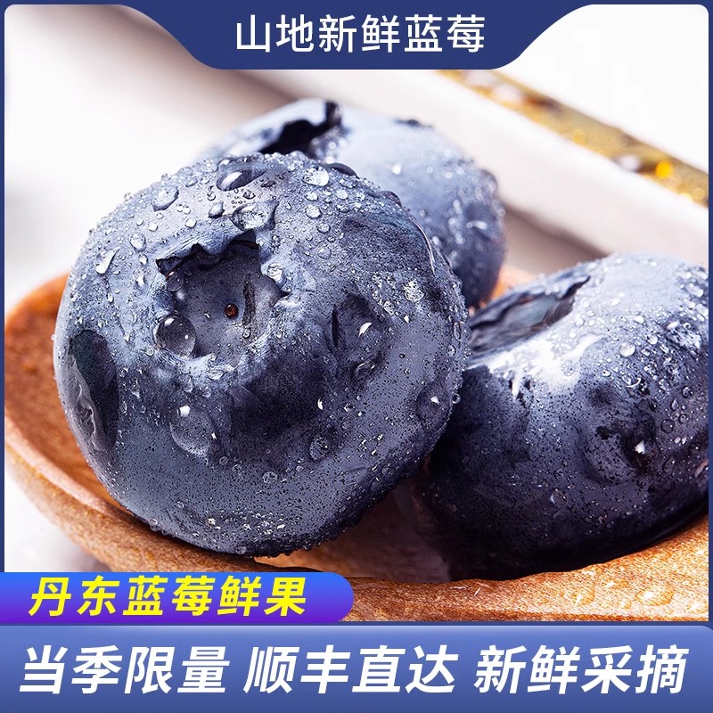 农彩汇新鲜采摘大蓝莓鲜果当季蓝莓孕妇宝宝辅食蓝莓超大果空运
