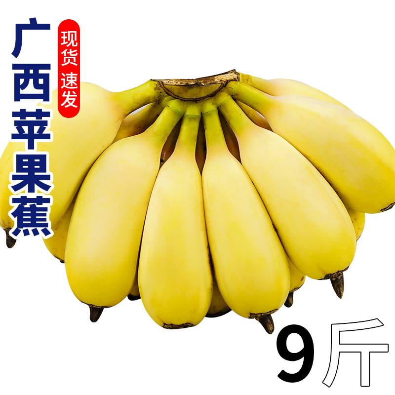 纯香果 广西苹果蕉应季水果自然熟香蕉新鲜9斤装整箱芭蕉水果包邮
