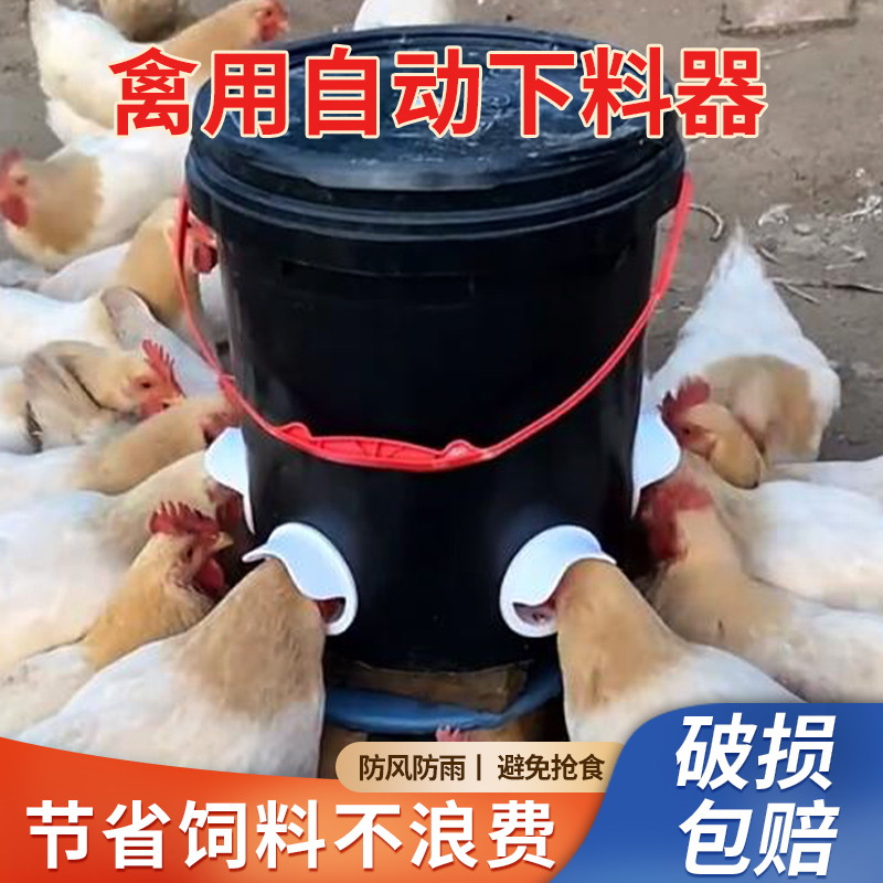 家禽自动喂食器鸡鸭鹅用品设备自动下料器饲料鸡食槽防撒养鸡神器
