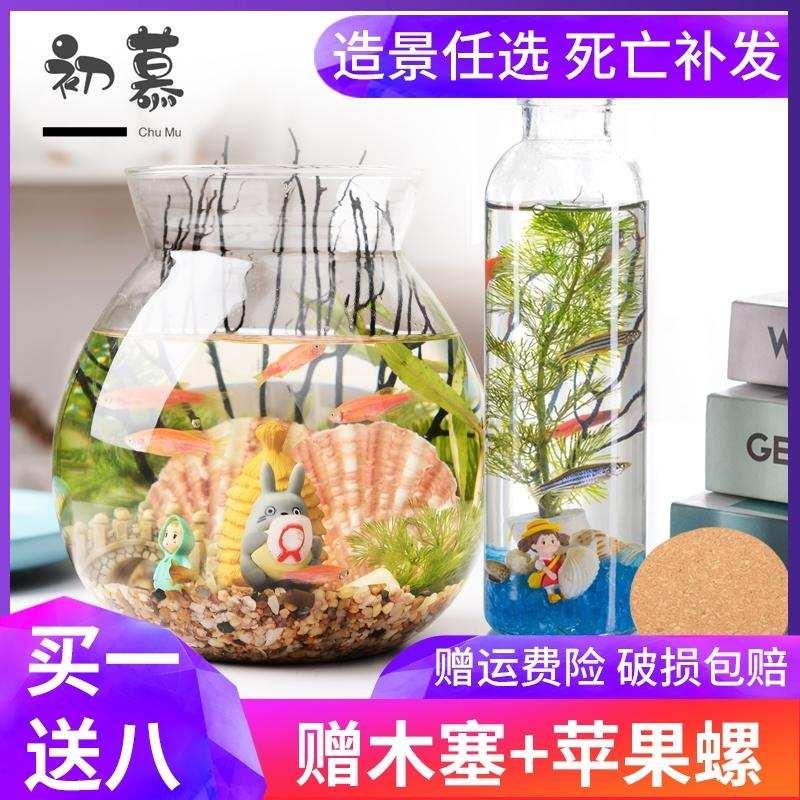 初慕生态瓶鱼缸瓶微景观免换水桌面水培植物盆栽室内装饰diy礼物