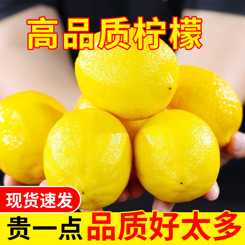四川安岳黄柠檬新鲜独立包装现摘饮品店使用5斤原料当季水果整箱