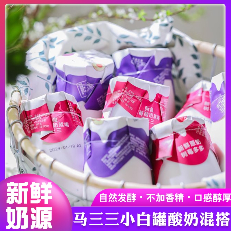 新疆马三三酸奶树莓多多西梅酸奶孕妇儿童风味早餐酸奶180g*12罐