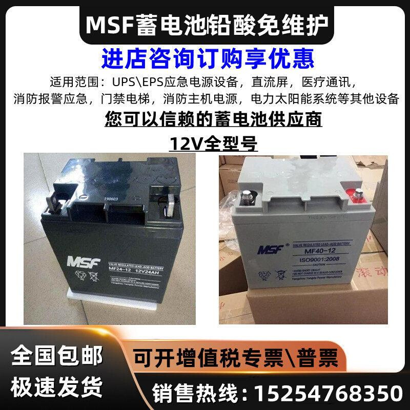MSF蓄电池MF-12V17A24A38A40A65A100A机房直流屏备用铅酸免维护