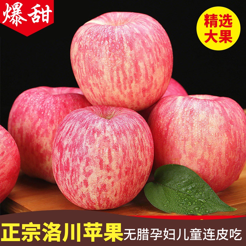 陕西优质洛川红富士苹果高糖果大果5斤/8斤 陕北延安脆甜新鲜水果