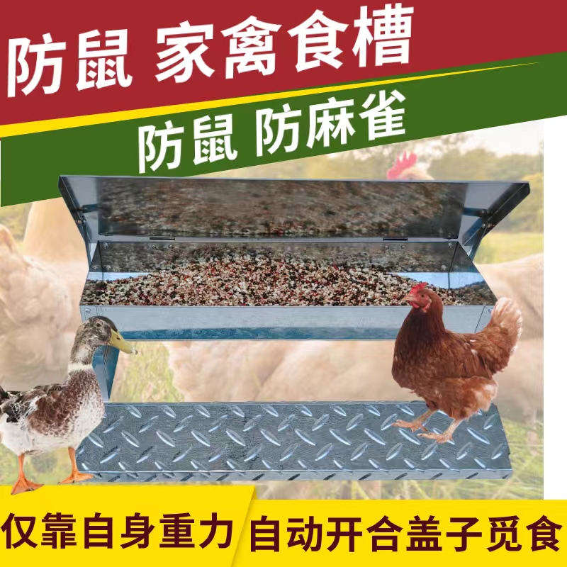 新型踏板鸡食槽家禽喂食器防鼠防雨喂自动鸡食槽喂料器母鸡食槽