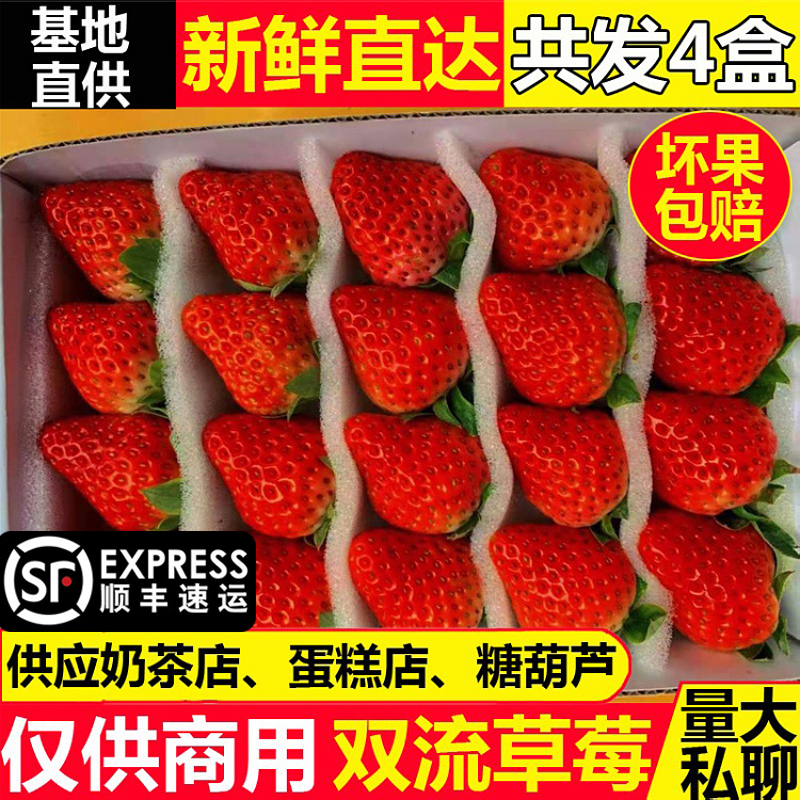 四季酸草莓新鲜商用水果同城送烘焙奶茶双流草莓批发整箱顺丰包邮
