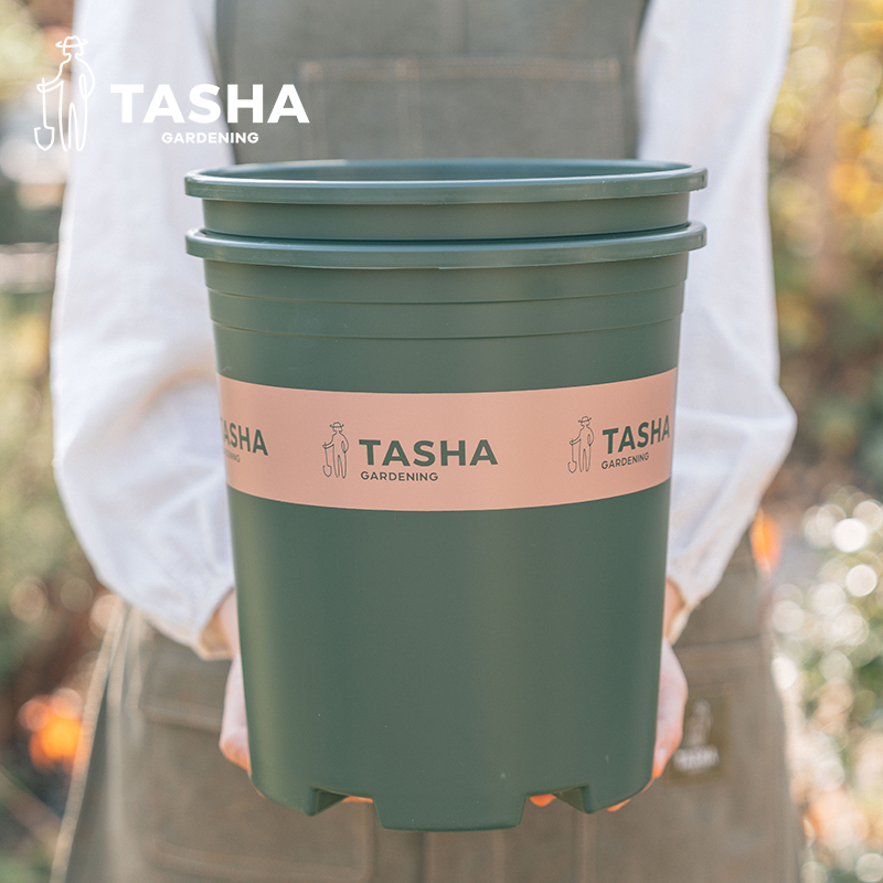 塔莎的花园塔莎定制加仑盆塑料花盆加厚特大号控根带托拖底盘简约