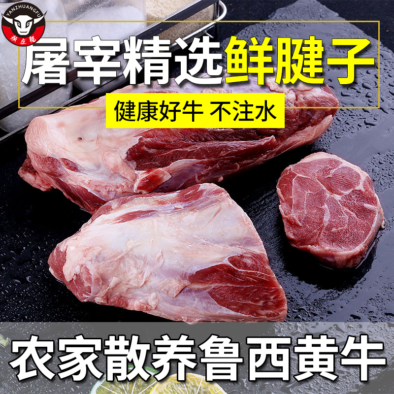 颜庄魏家传福牛肉 生鲜牛肉新鲜牛腱子肉3斤装腱子肉生牛肉黄牛肉