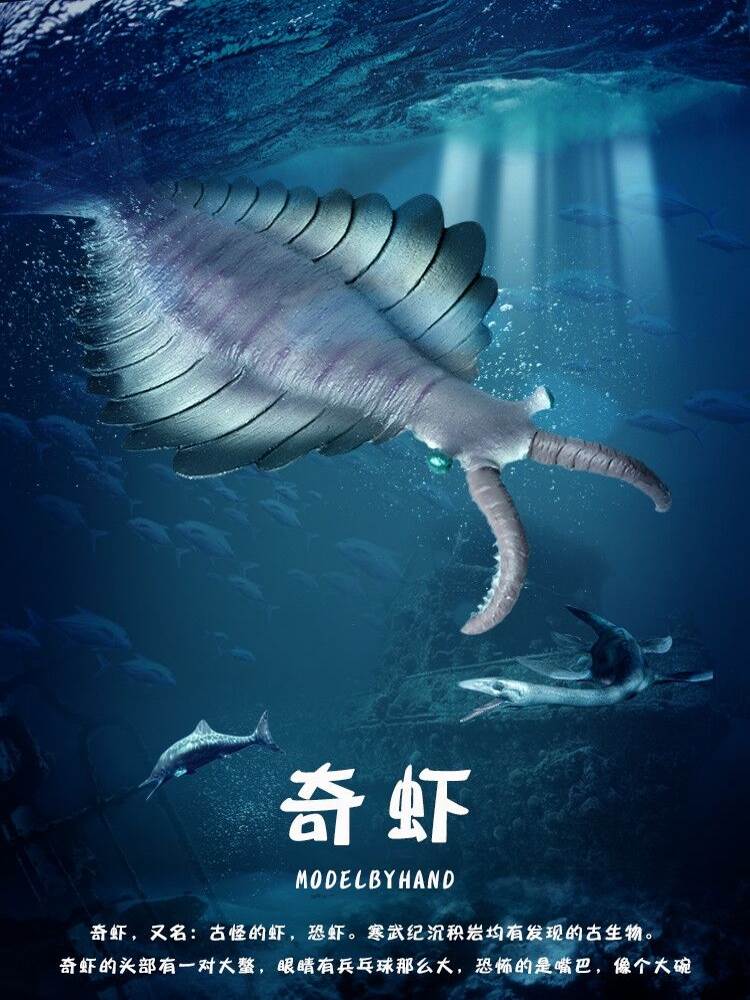 林畅模玩寒武纪奇虾儿童仿真动物玩具模型史前深海洋生物远古巨兽