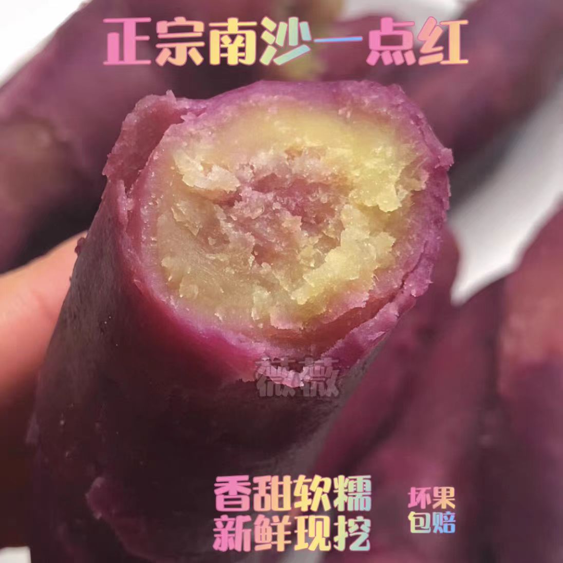 包邮5斤广州南沙一点红番薯新鲜现挖紫皮黄心板栗软糯香甜口感