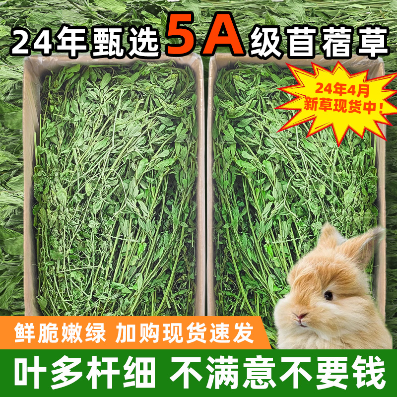 苜蓿草干草兔子粮食用紫花幼兔豚鼠食饲料专用龙猫吃的兔粮苜宿草