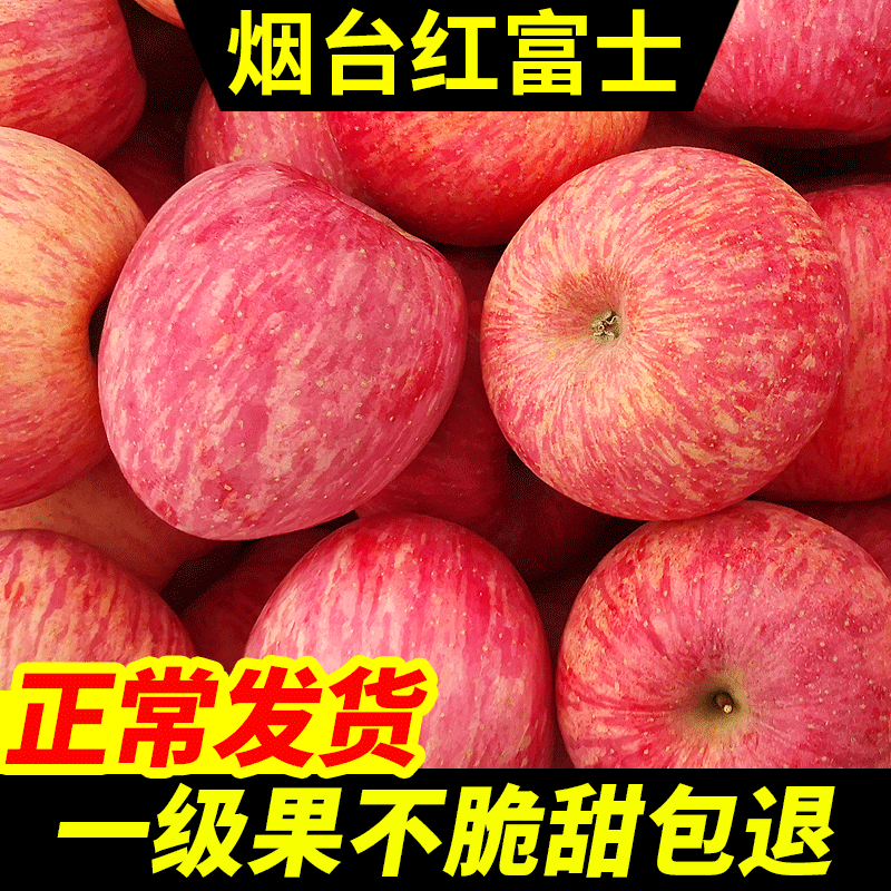 山东烟台栖霞红富士苹果水果新鲜苹果当季整箱脆甜5斤10斤萍果大