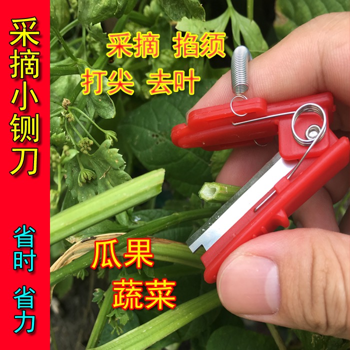 蔬菜豆角黄瓜葡萄花椒采摘刀采摘拇指刀打叶刀掐尖掐须采摘小铡刀