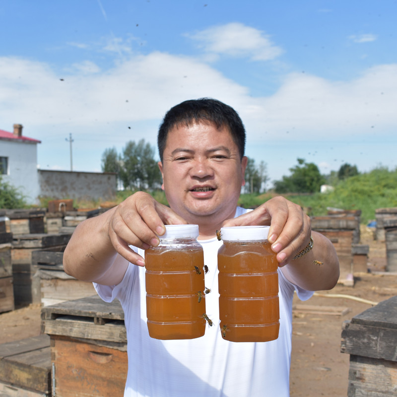 陕北枣花蜜 红枣花蜂蜜纯正天然农家自产百花蜜野生成熟土蜂蜜2斤
