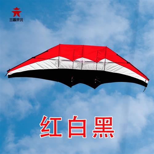 三晋开元风筝滑翔伞544伞布大型成人G微风易飞2023年新款大人