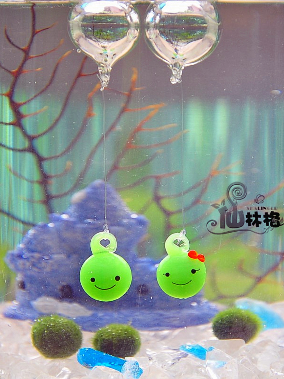 仙林格礼物marimo幸福海藻球创意迷你植物微景观生态瓶装饰浮球