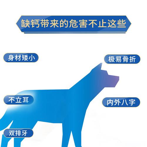 速发柯基犬专用钙片狗狗骨头补钙宠物通用大型犬成幼犬老年犬营养