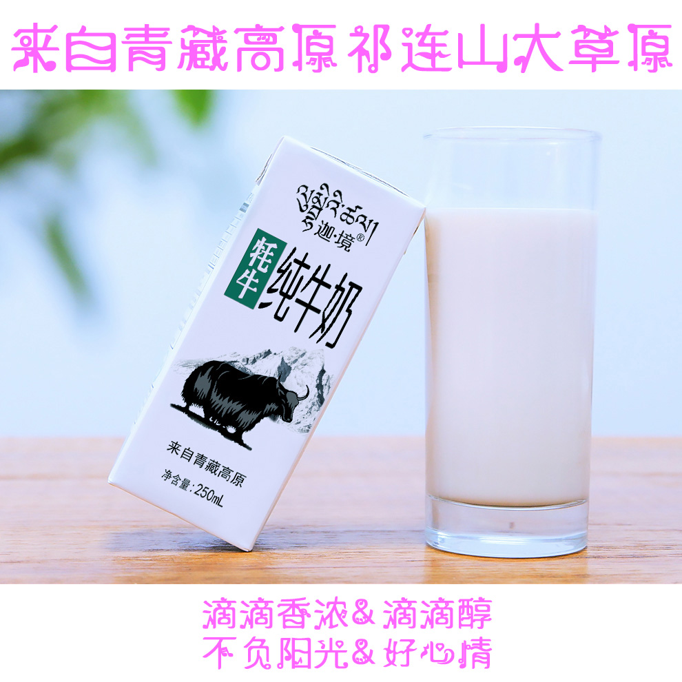 青藏祁连迦境纯牦牛奶250mL*8支/箱老人学生儿童孕妇补钙营养早餐