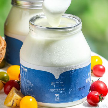 马三三1kg*2瓶家庭装酸奶/新疆原味老酸奶儿童营养早餐低温特产