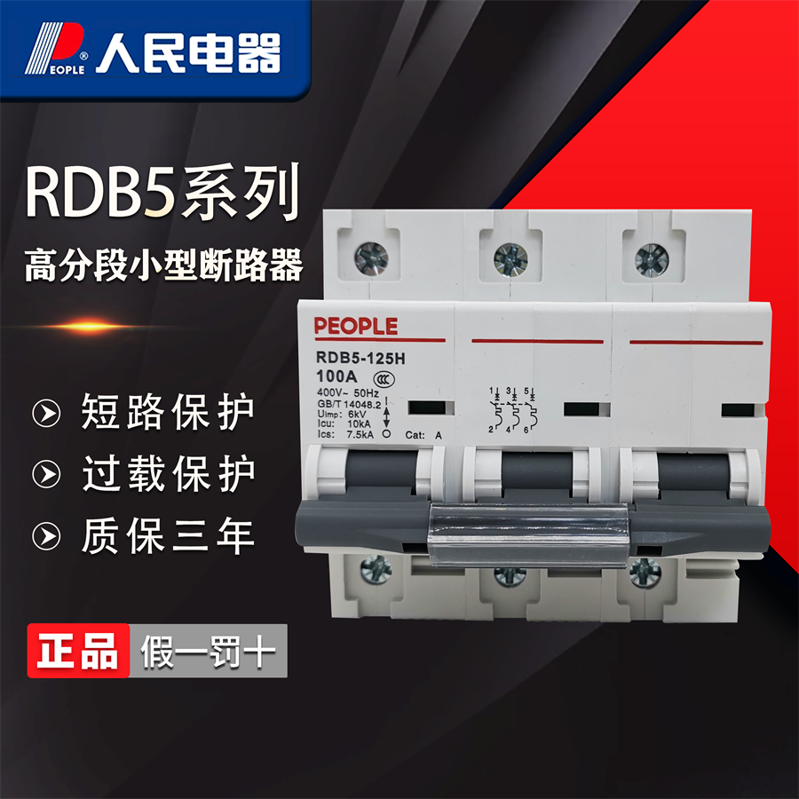 人民电器空气开关高分断RDX2-125新款RDB5小型断路器80A空开100A