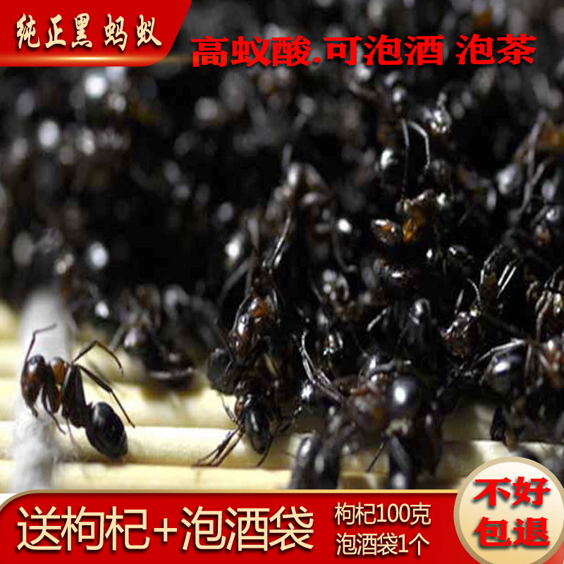 广西横县黑蚂蚁干中药材500g山蚁野生拟黑多刺蚂蚁粉可养生泡酒