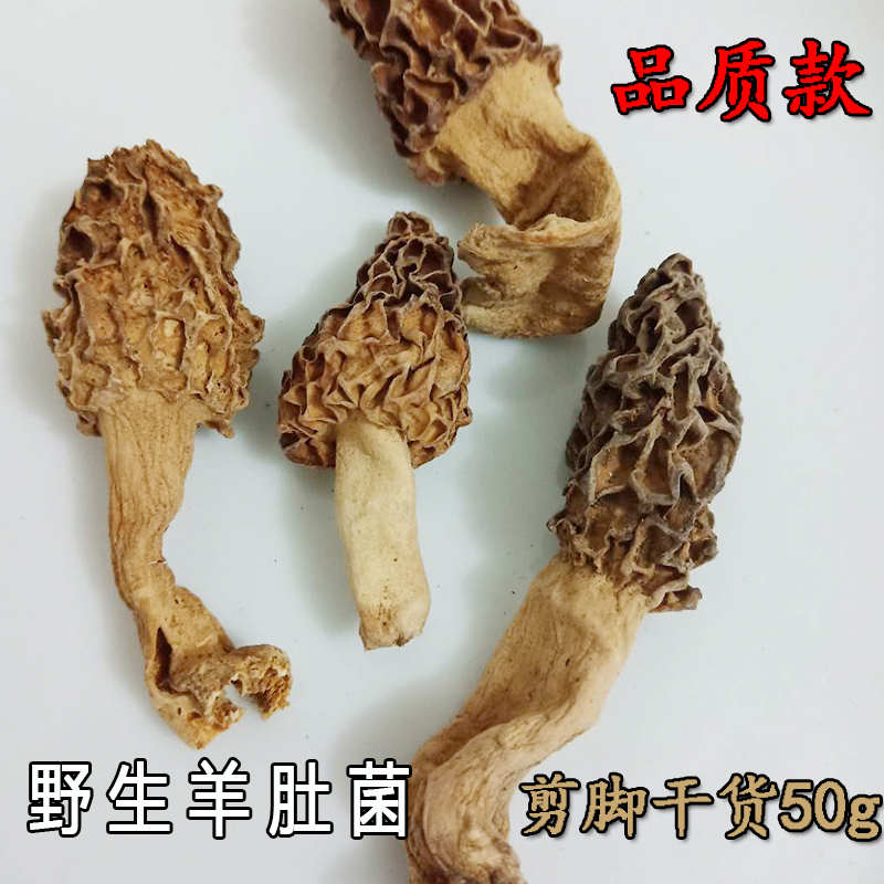 羊肚菌干货野生特级河南西峡特产剪脚蘑菇香菇50g煲汤天然食材