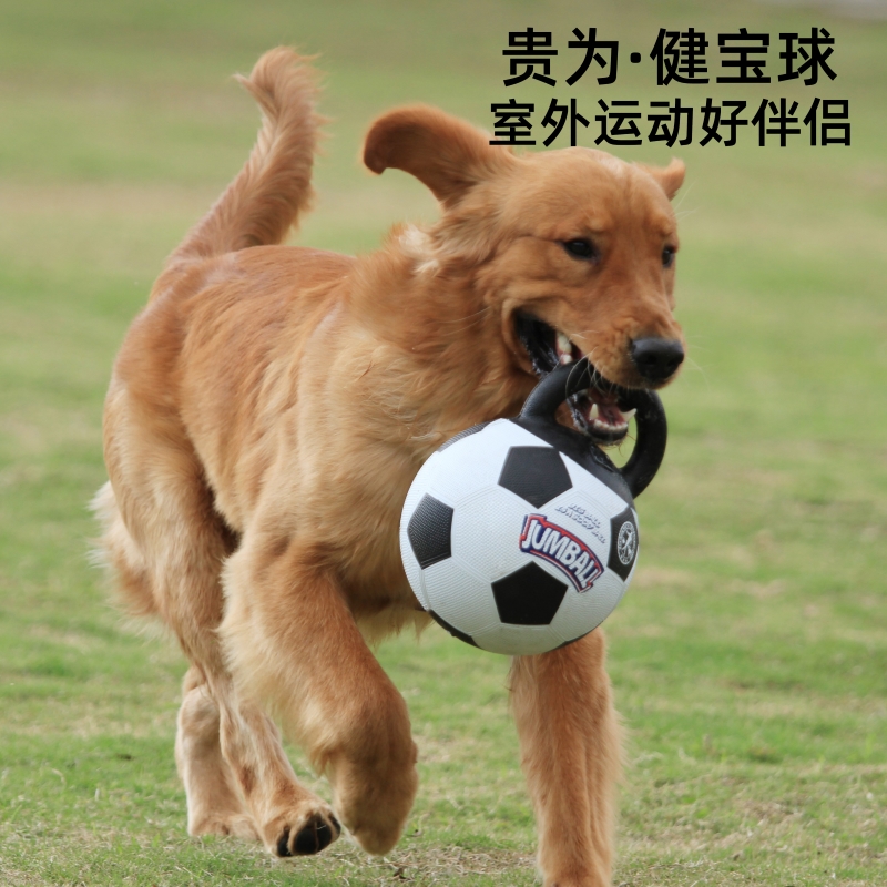GiGwi贵为健宝球狗狗玩具球室外中大型犬耐咬训练边牧金毛弹力球