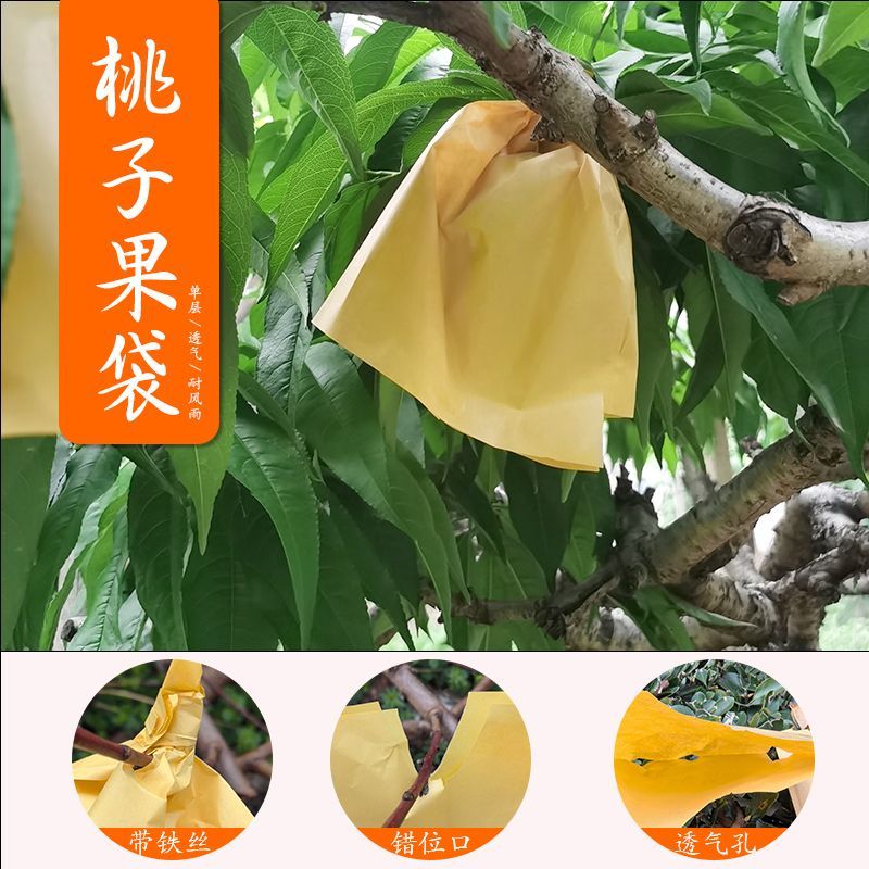 桃子专用套袋橙子油桃毛桃黄桃套袋透气水果套袋果袋水蜜桃袋防虫