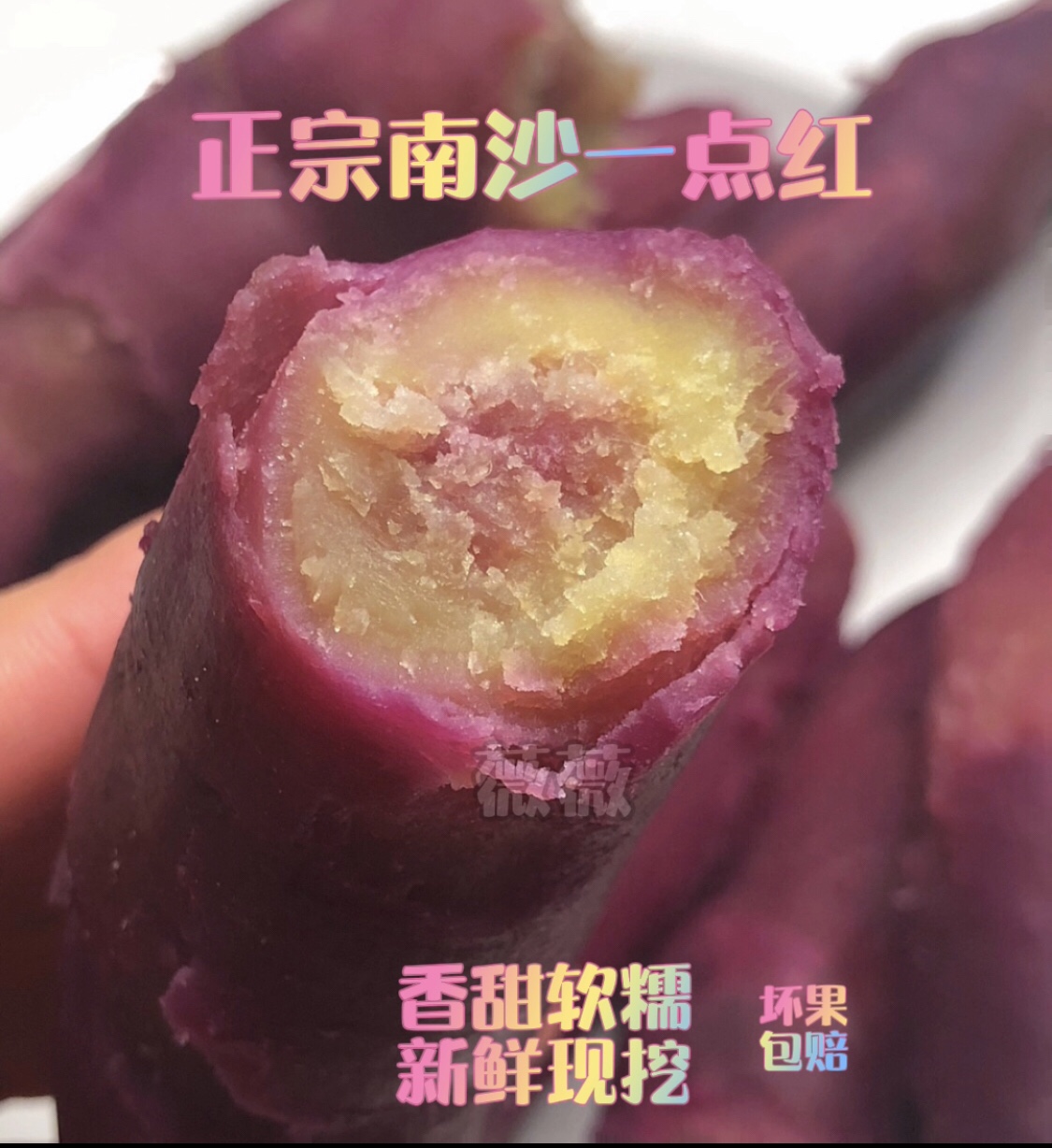 广州南沙万顷沙南沙一点红番薯紫皮黄心板栗红薯10斤包邮现挖现发
