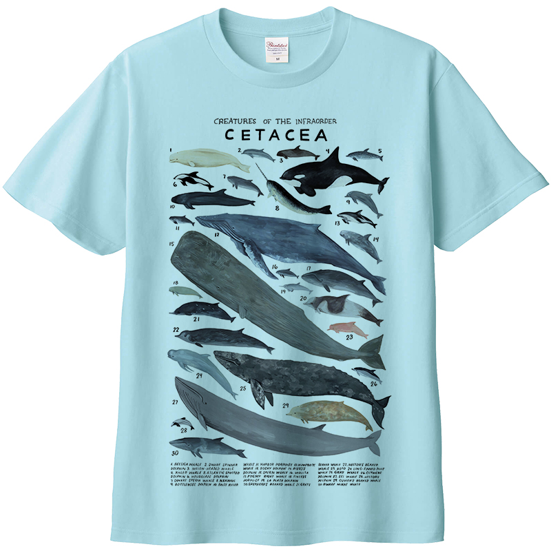 鲸类短袖T恤 手绘海洋馆动物生物鲸鱼海豚科目亲子装纯棉染印夏季