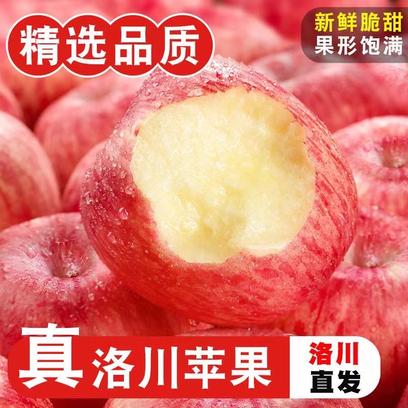 正宗陕西洛川红富士苹果9斤新鲜水果当季整箱包邮冰糖心脆甜苹果