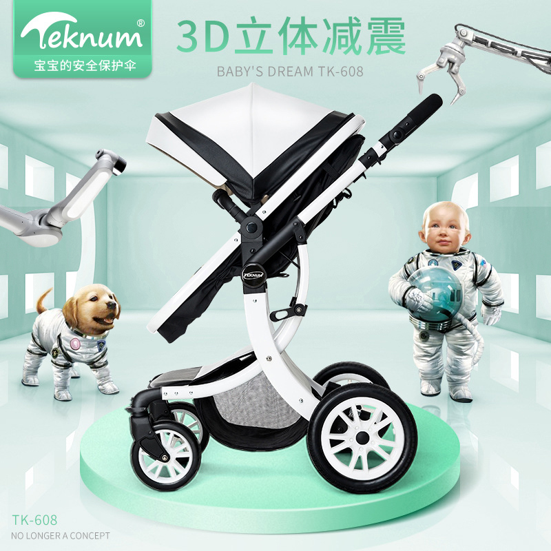 TEKNUM婴儿推车可坐可躺双向宝宝手推车高景观bb儿童推车避震折叠