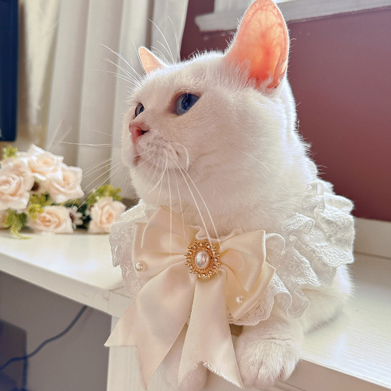 猫咪结婚装饰口水巾仙女猫宠物围脖公主风猫猫围嘴狗狗婚礼领结