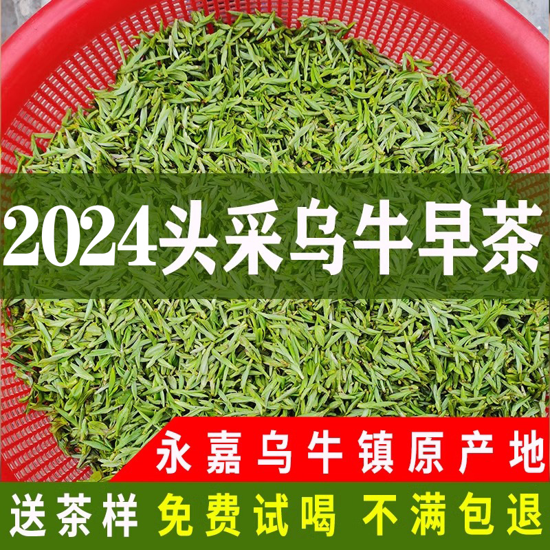 2024年乌牛早茶特级头采明前茶125g温州永嘉特产乌牛早龙井茶叶春