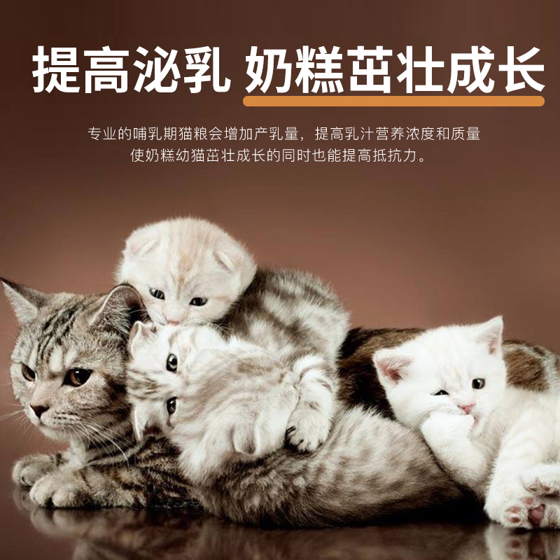 哺乳期猫c粮猫妈妈产后下奶月子餐怀孕猫咪营养品母猫专用营养食